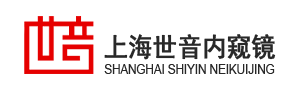 上海世音